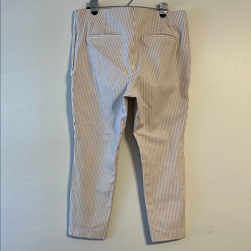 a new day Pull on pants White and‎ Tan thin vertical stripes neutral classic - Picture 12 of 12